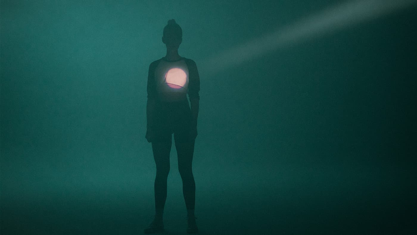 full body workout fitness schema voor beginners